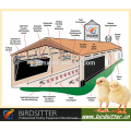 BIRDSITTER moderne uae Hühnerfarm Geflügel Broiler Huhn Maschine